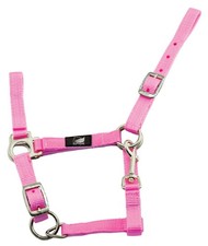 Cavezza per puledro nylon - cavezza,