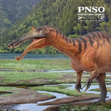 PNSO 2022 Chongzuo the