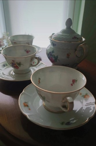 Set porcellana rosental - set,