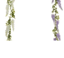 Ghirlanda glicine 187 - ghirlanda, cm