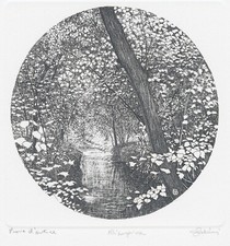 ZALIANI AGOSTINO ZALIANI -