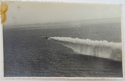 1930 foto cartolina - foto,
