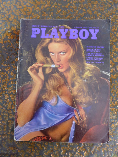 Playboy magazine november 1973 - playboy,