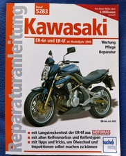 Bucheli-Reparaturanleitung  "