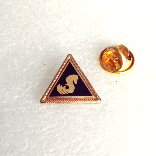 Pin pins lapel - pins, logo