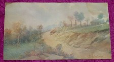 Sfondrini firmato acquarello - firmato,