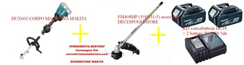 Decespugliatore batterie - decespugliatore,
