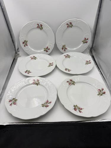 Rosenthal classic rose - 6,