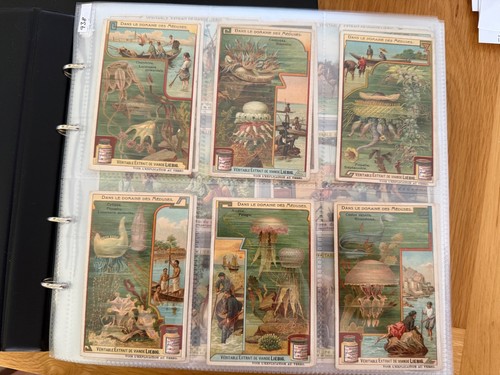 Liebig trade cards 50 x - liebig,