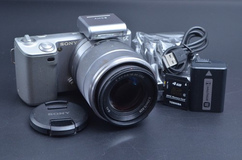 Fotocamera mirrorless argento