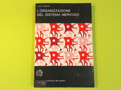 Organizzazione del sistema - l'organizzazione,