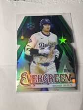 Inserto fustellato sempreverde