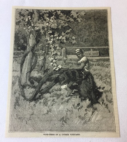 1878 rivista incisione - , ~