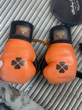 Guantoni da boxe Dinardo 14