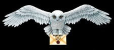 Rilievo parete harry potter - potter,