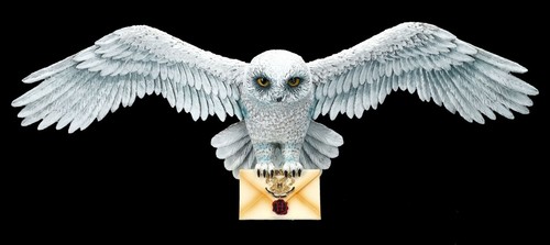 Rilievo Parete Harry Potter -