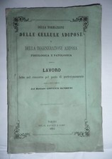 Giovanni Saviotti, Formazione