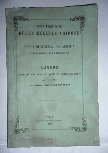 Giovanni saviotti formazione - saviotti,,