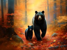 Orso Nero nella Foresta