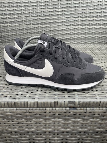Rara 2022 nike air pegasus - nike,