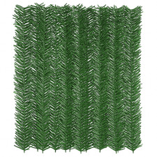 Arelle Sempreverdi Abete siepe