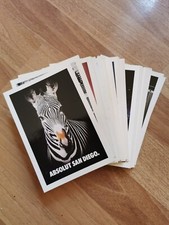 92 Cartoline Promocard Absolut