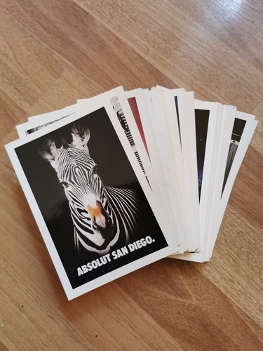 Cartoline promocard absolut - 92,