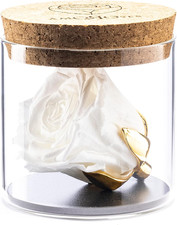 Bijou - Rosa Stabilizzata