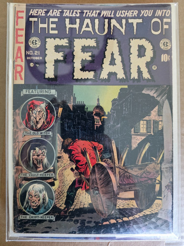 Comics haunt fear 21 vg - haunt,