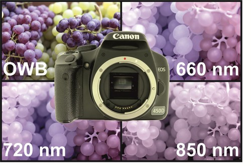 Canon eos 450d - canon,