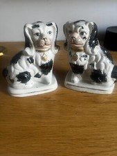 Coppia di cani Mantello