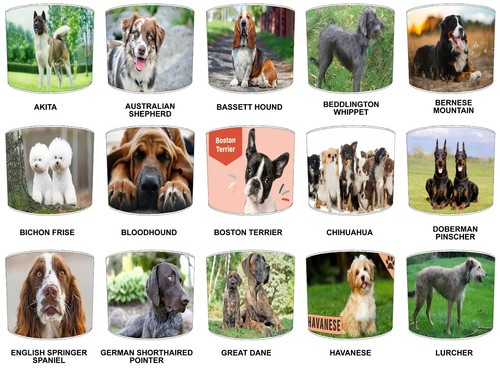 Paralumi razze cani da - di,