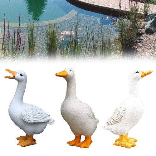 Decorazione giardino ornamento - giardino,