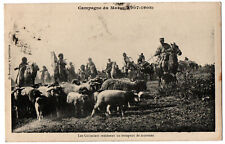 CPA Campagne du Maroc