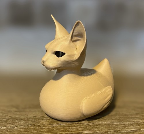Anatra gatto sphynx - anatra,