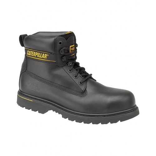 Caterpillar holton - caterpillar,