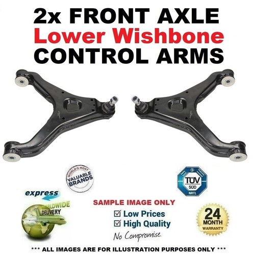 Bracci anteriori inferiori - 2x,