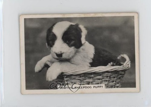 1939 senior service - senior, cani