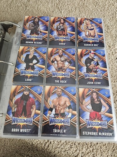 Wwe wrestling card 1202 pezzi - wrestling,
