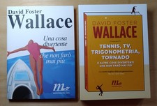 D.F. Wallace - Tennis, Tv, trigonometria, tornado + Una cosa divertente