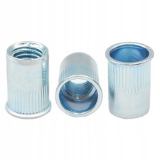 100x Dadi per rivetti testa a