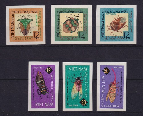 Vietnam 1965 insetti - , cimici