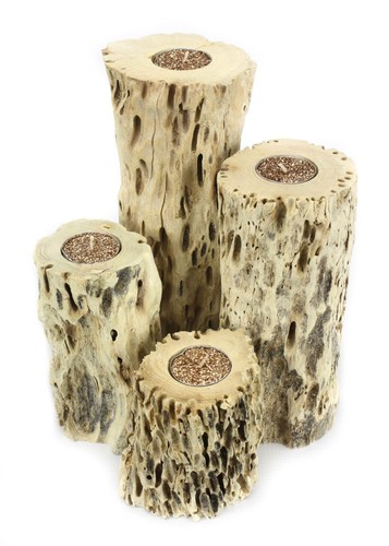 Tailandese driftwood rustico - tailandese,