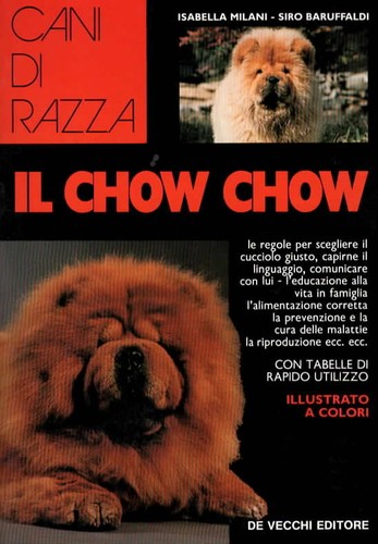 Chow cane cani - chow,