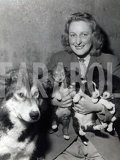 Foto vintage Animali, cinque
