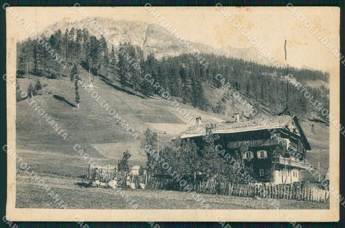 Belluno sappada casa rustica - belluno,