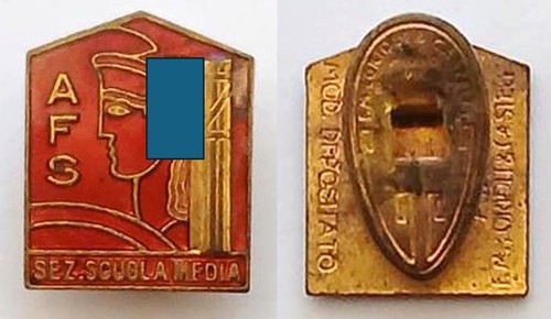 Distintivo smaltato ventennio