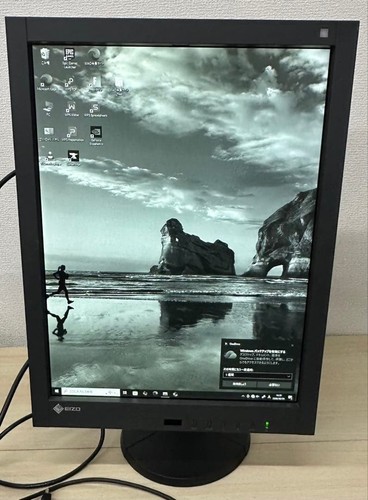 Monitor eizo radiforce gx240 - monitor,