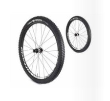 COPPIA RUOTE BICICLETTA