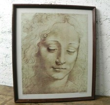 Stampa incorniciata Testa di